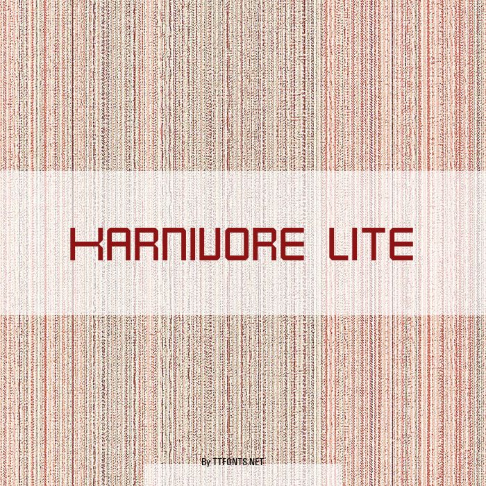 Karnivore Lite example